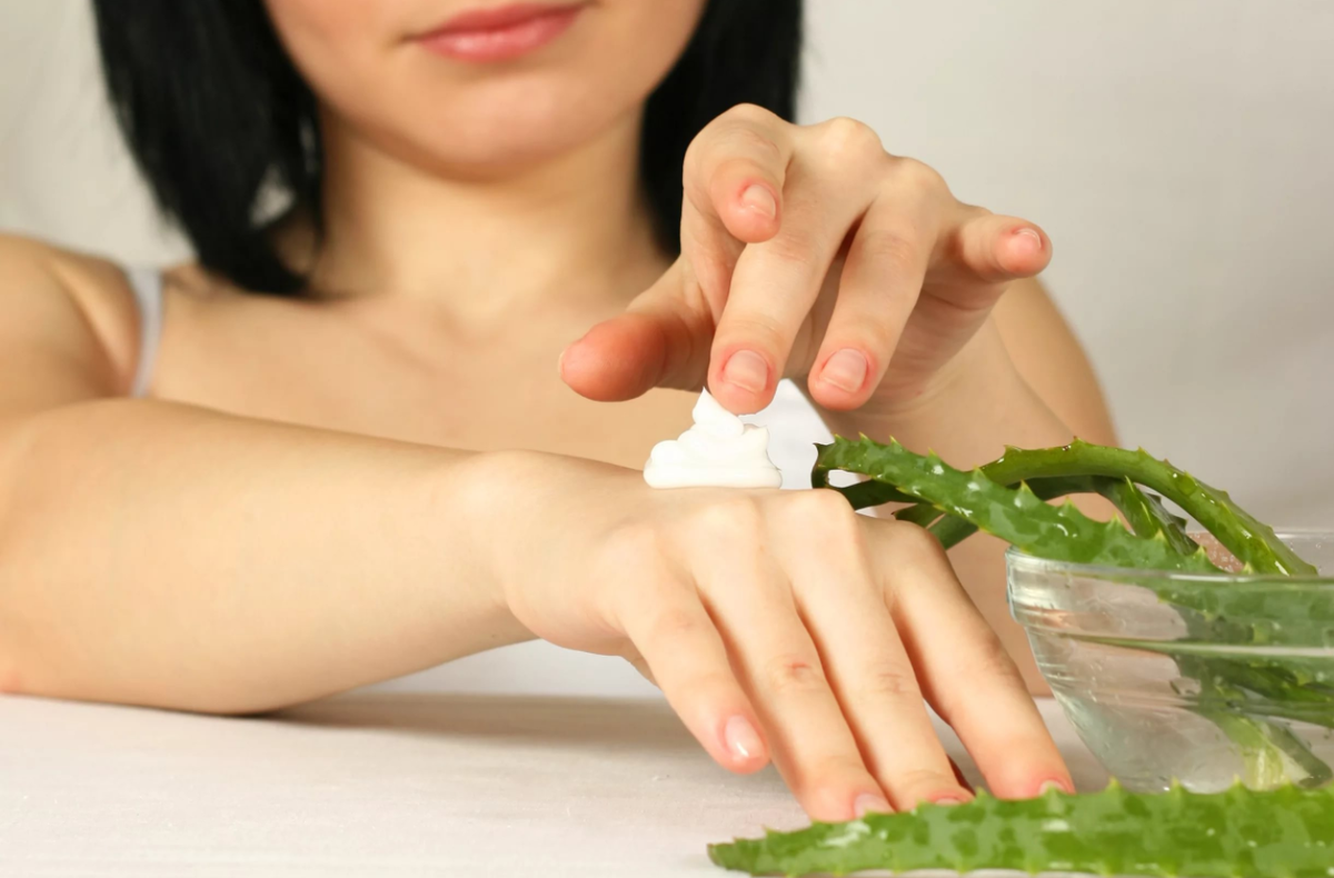 Алоэ вера-незаменим в косметологии. 