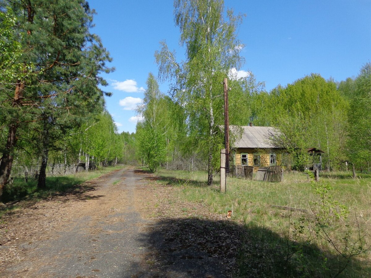 Село Довляды, ЧЗО Беларусь
