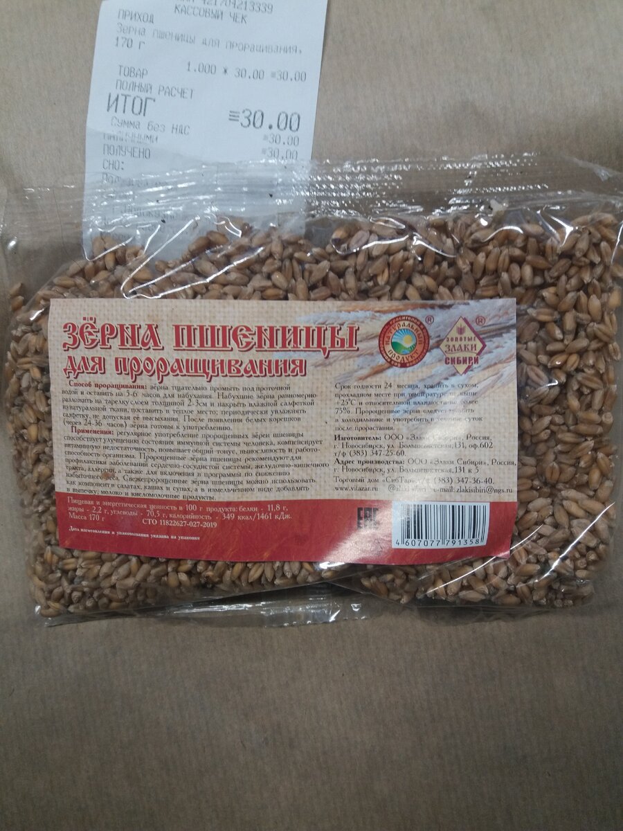 Зерна пшеницы для проращивания