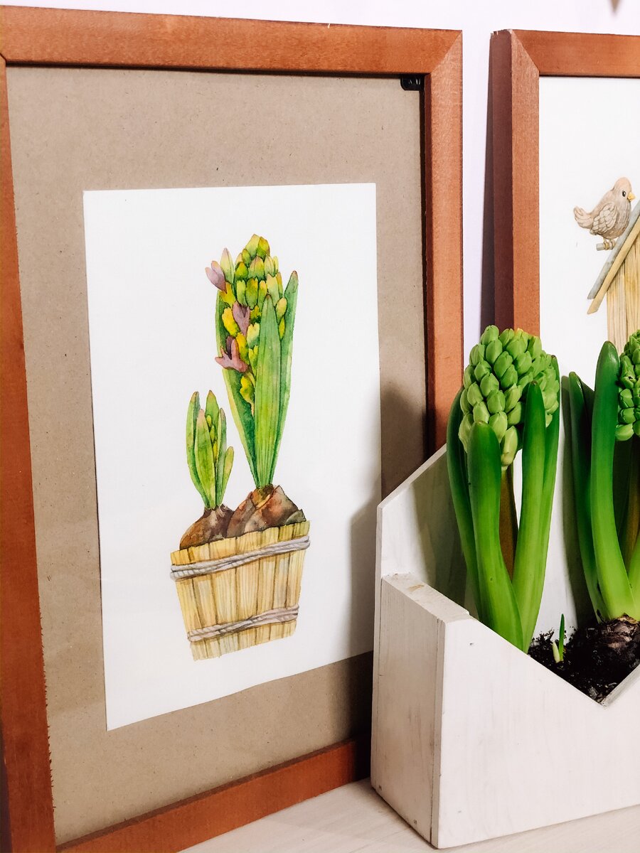 Гиацинт, один из самых весенних цветов :)