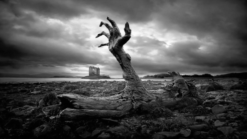 фото взято из открытых источников