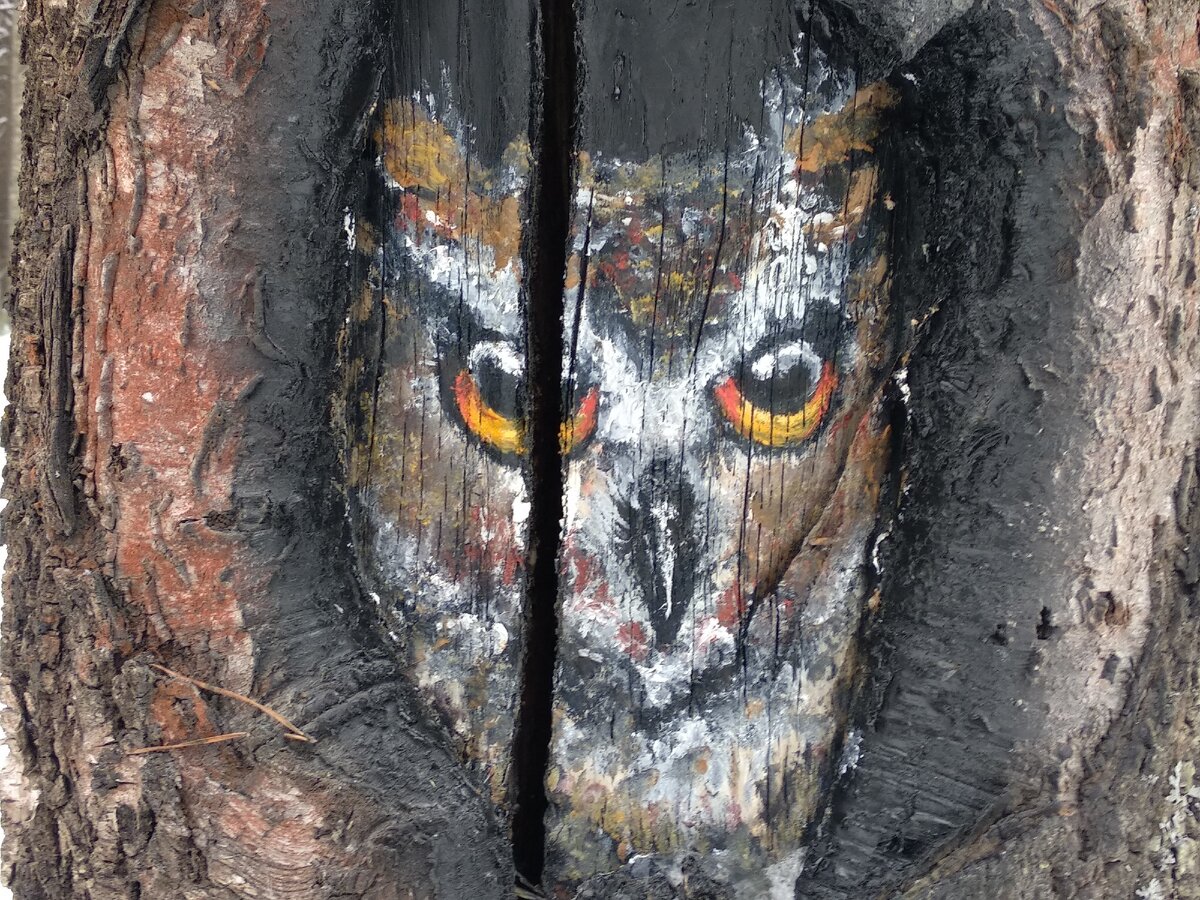 Пронзительный вгляд желтых глаз