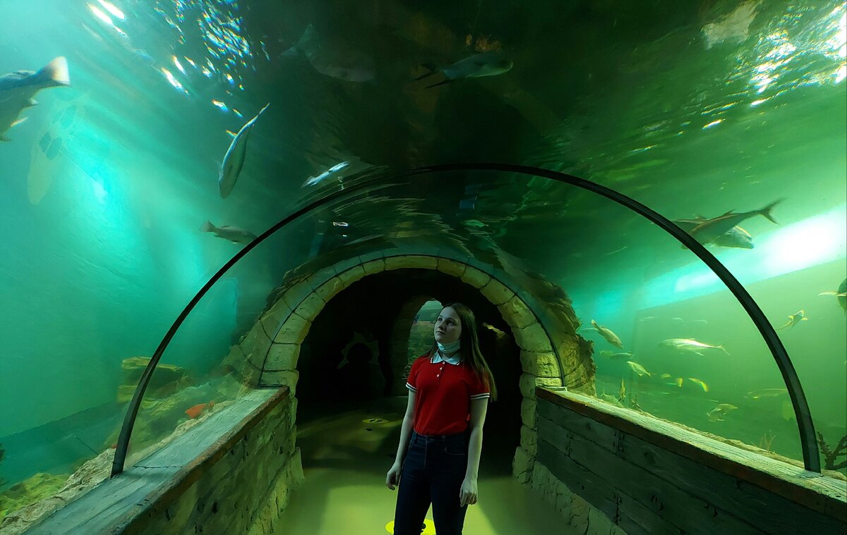 Так здорово — рыбки плавают над головой