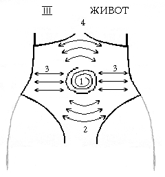 Массажные линии живота. 