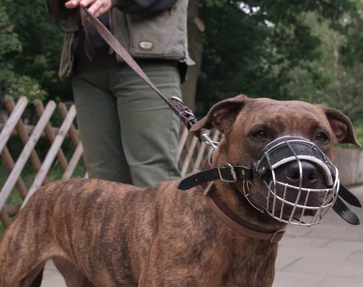 Источник фото: m24.ru