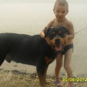 Таким Лорд к нам пришел