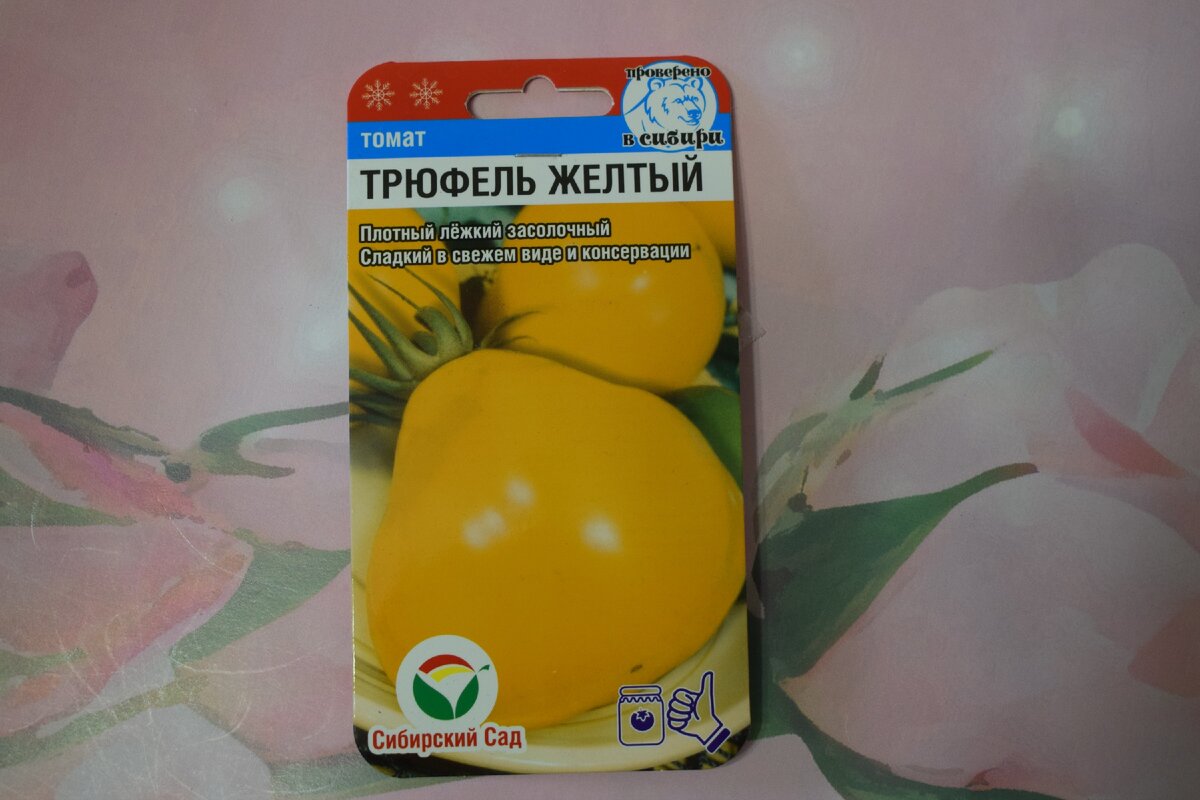 семена томата(фото автора)