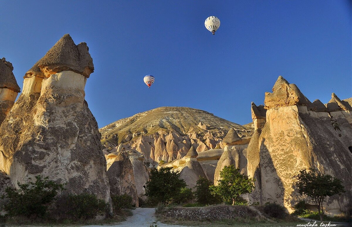Источник http://2.bp.blogspot.com/-nJ5O6G8I9Yg/VIAMmjY9gPI/AAAAAAAA1mA/mW_3RKqaA7g/s1600/DSC_9084paşabağı.jpg