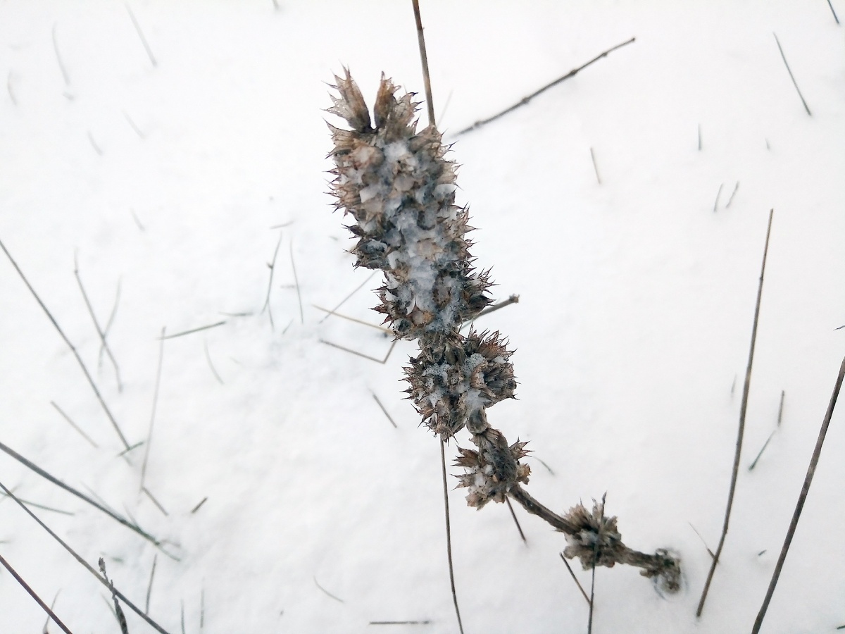 Фото автора канала