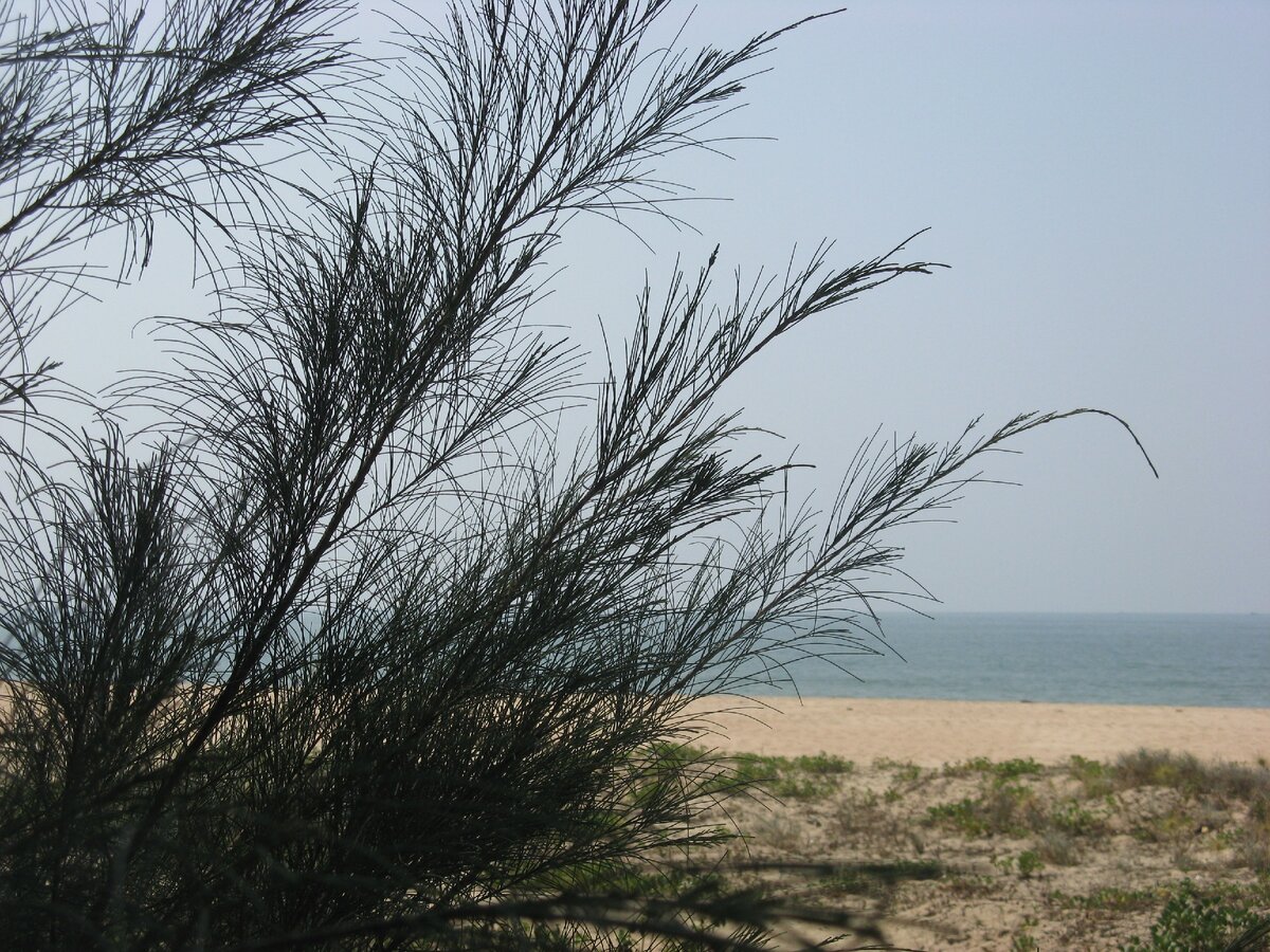 Вот он, пустынный пляж Махараштры