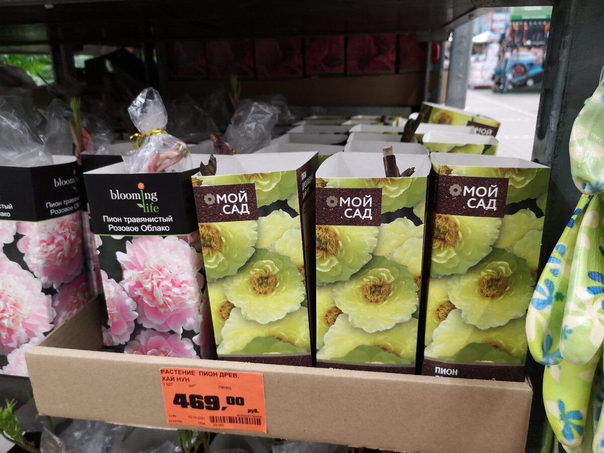 Листаем, фотографировала не все, там реально больше 3- видов было