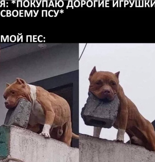 https://sun9-9.userapi.com/impf/iDir1aFXP9DVGb9ahT3s0kNSJPF_GmzBoDqI3Q/VrC_iQQUeRQ.jpg?size=583x604&quality=96&sign=ecb19b98d4d8582bd61eded9f2f79212&c_uniq_tag=D2wNSV8-OmgH3FPBeS_WAq9MbhGZevL47pNvT785vA8&type=album