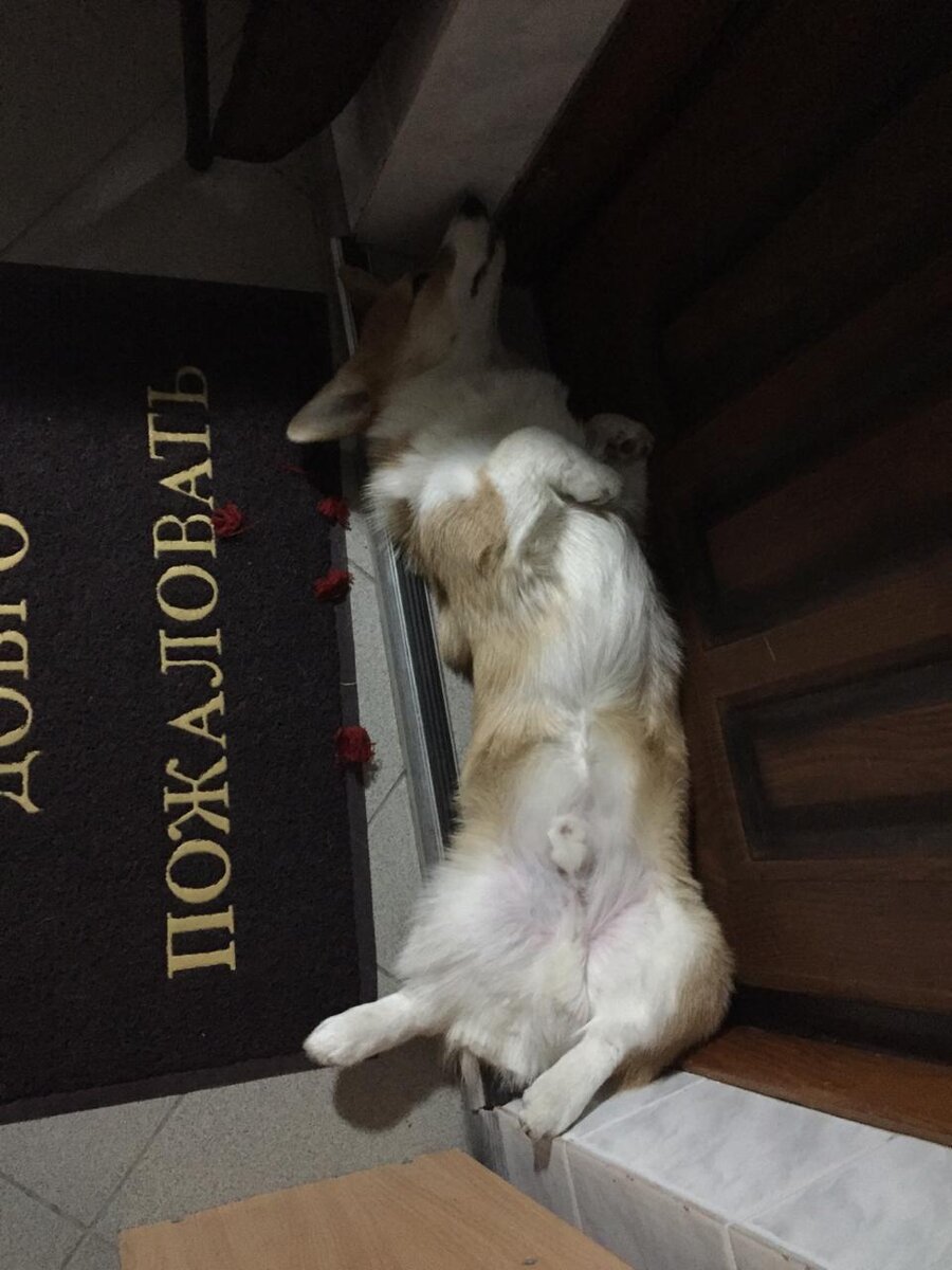 И спит и свежим воздухом дышит