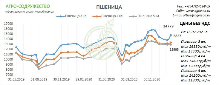 цена на пшеницу 3,4,5 класс (без НДС)