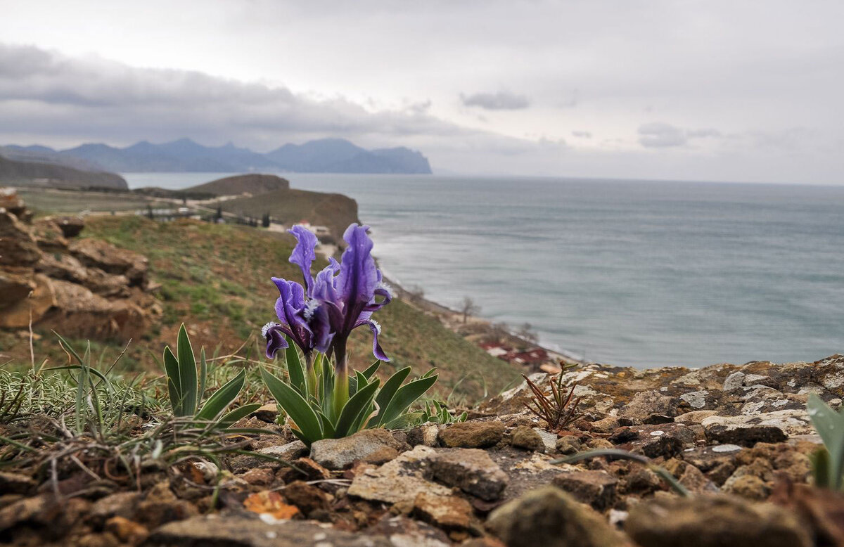 Погода на март в алуште 2024 года. Крым в апреле. Алушта апрель. Алушта в марте фото. Алушта весной.