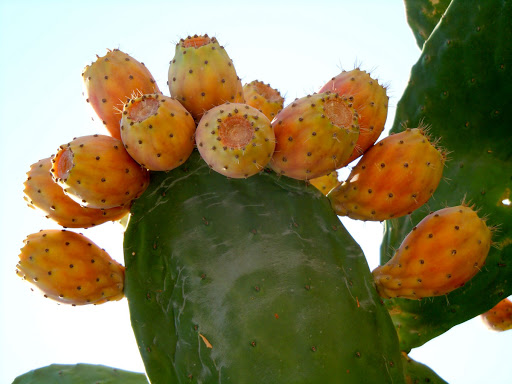 источник: Интернет