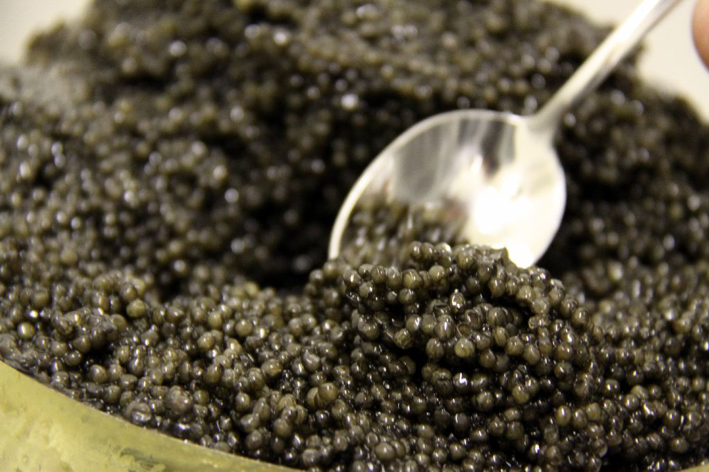 Caviar extract. Caviar икра.