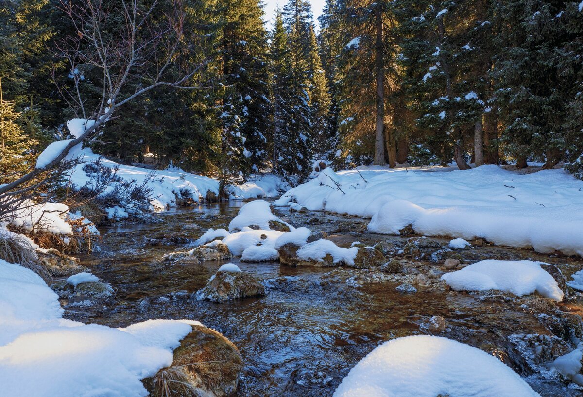 Начало весны
