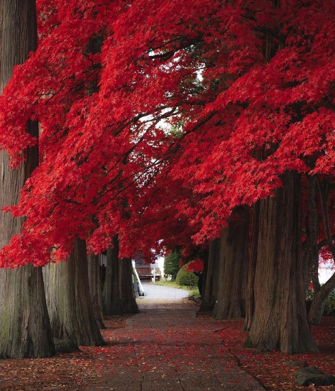 Источник фото @landscape_nightscape