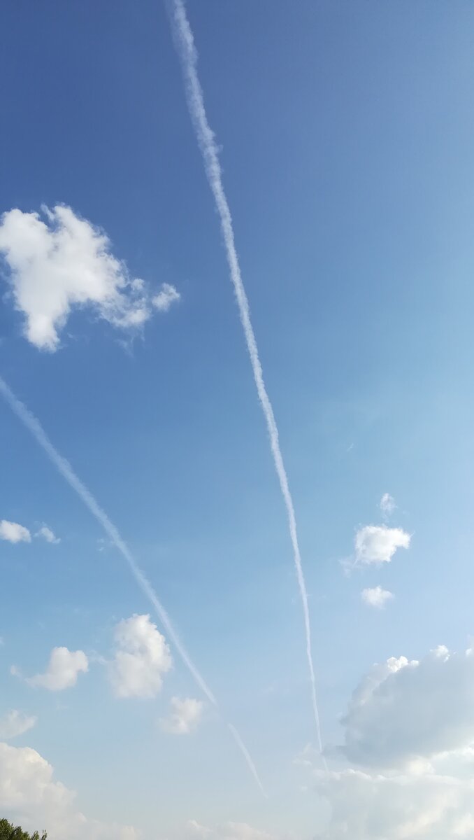 На пути в Крым, на привале, где-то в Краснодарском крае. 