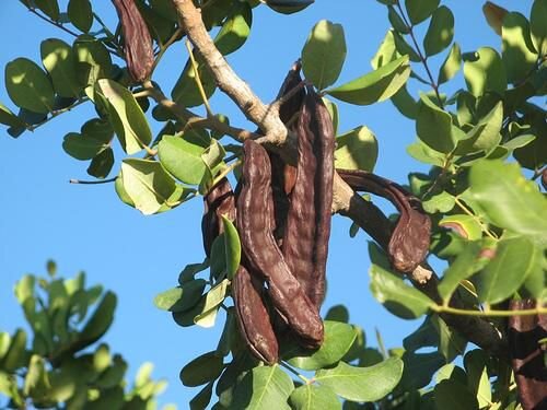 Так выглядит кероб.