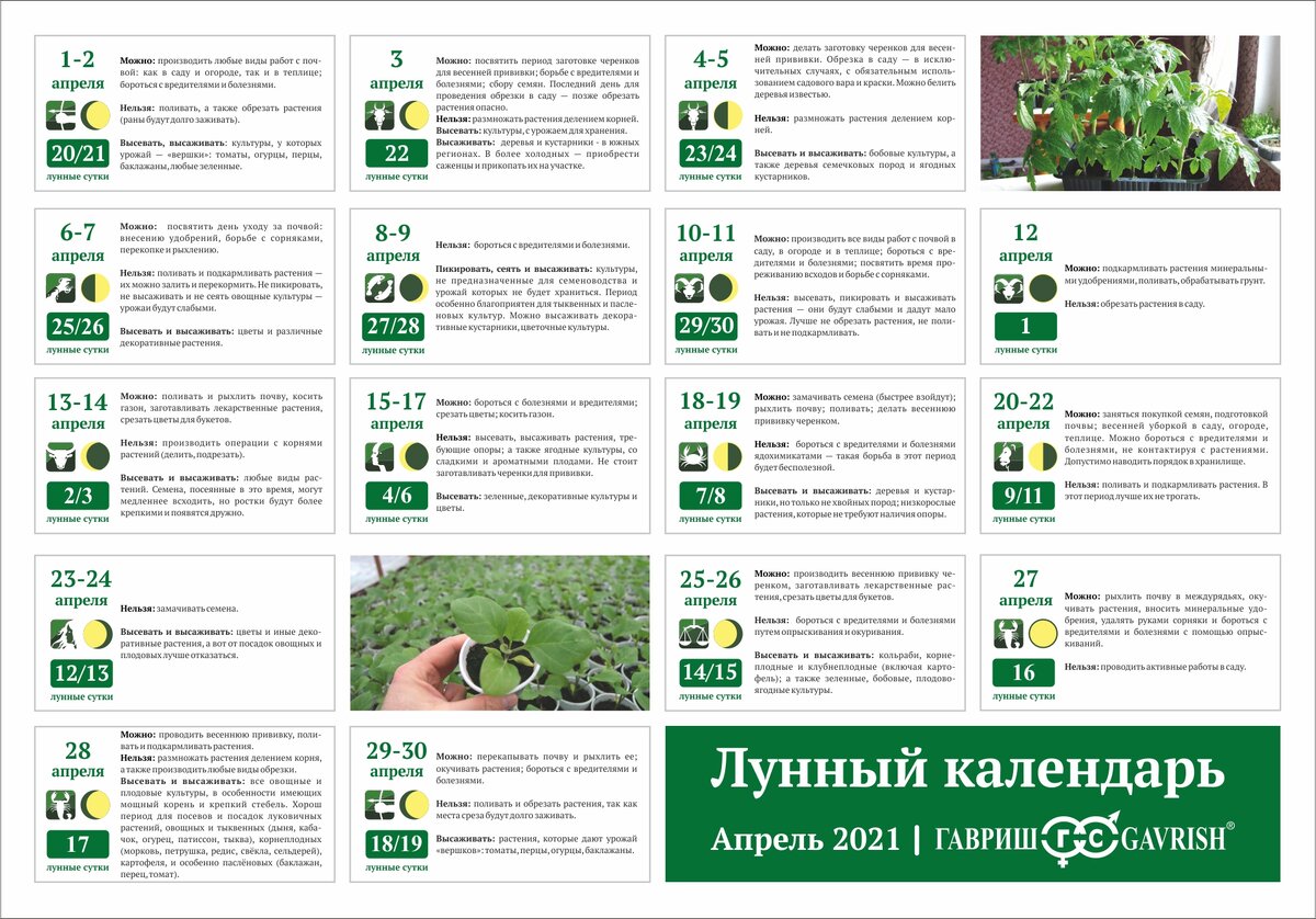 Календарь огородника на апрель месяц 2024 года