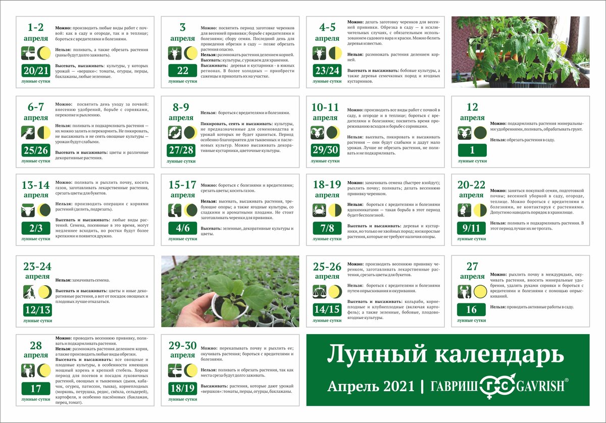 Календарь садовода апрель 2024г. Лунный календарь на апрель 2021 года садовода. Лунный календарь садовода на апрель