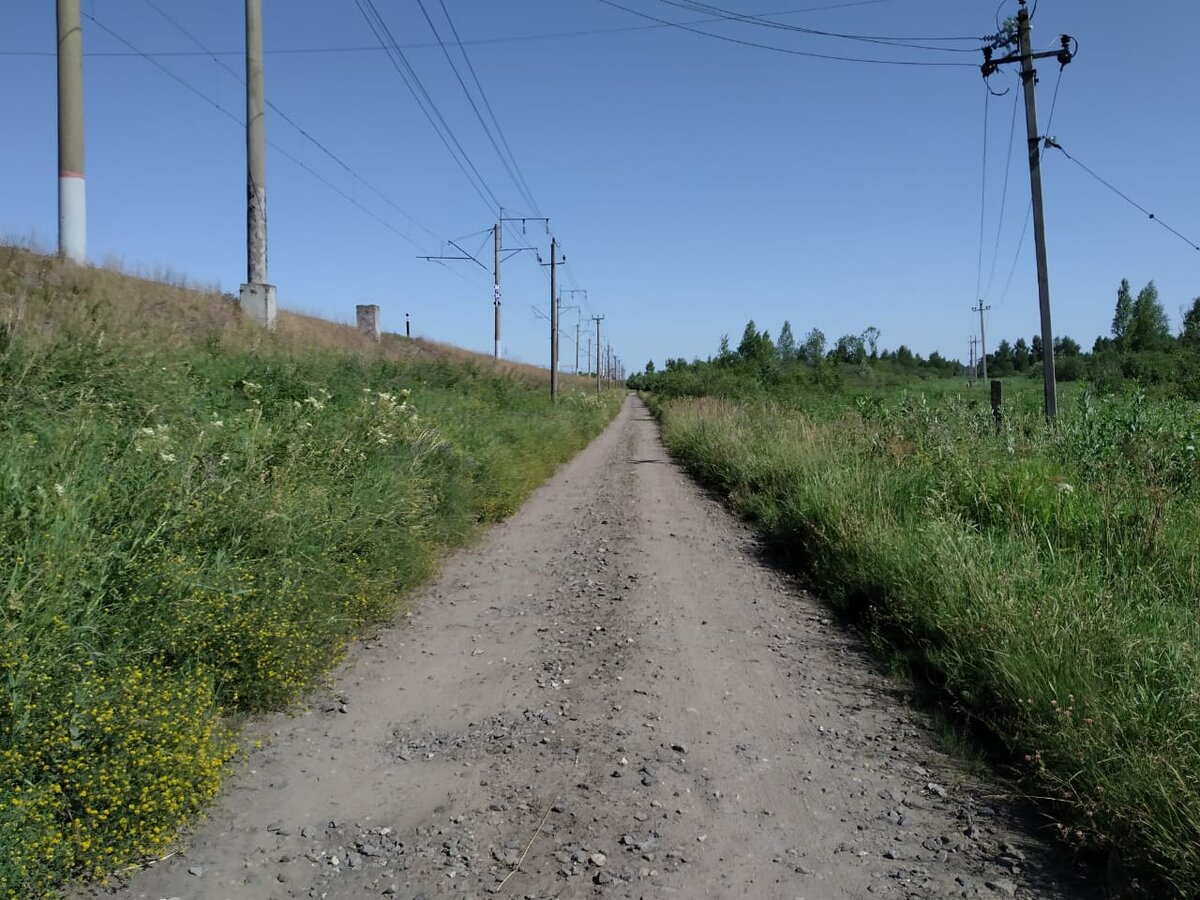 Дорога к старому заводу пролегает вдоль ж/д путей. Фото автора. 