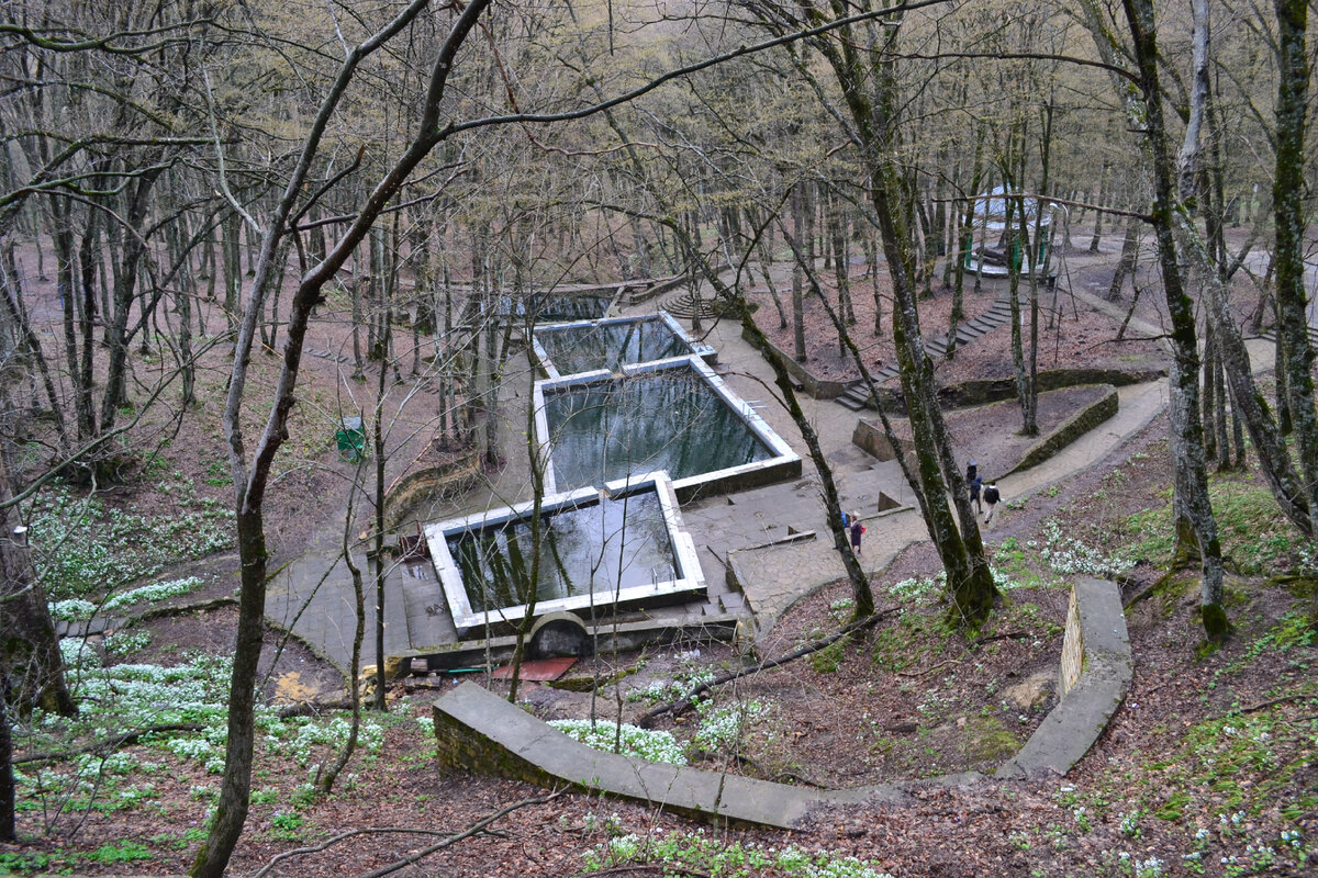 Холодные родники - излюбленное место для моржей и любителей прогулок