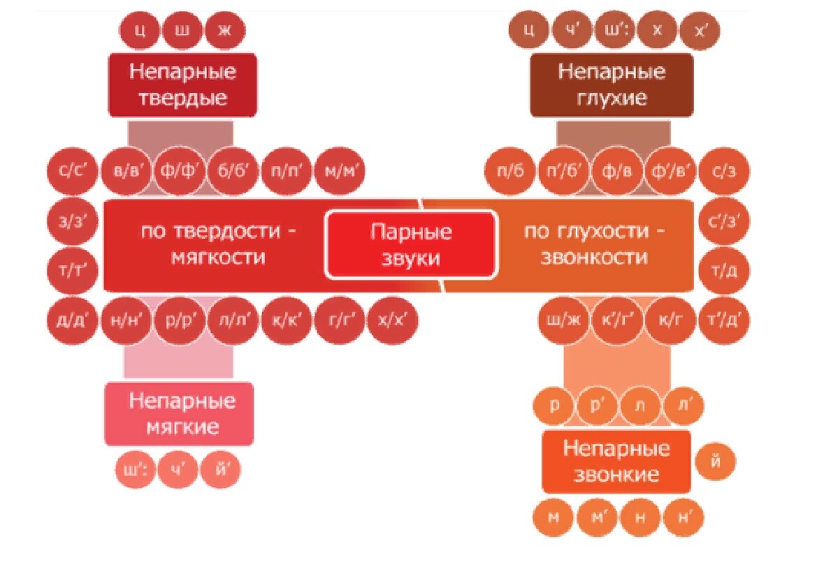 Звуки пар. Парные непарные по глухости-звонкости и твердости-мягкости. Согласные парные и непарные по твёрдости-мягкости глухости-звонкости. Парные непарные согласные по твердости и мягкости звонкости. Пары по глухости звонкости твердости мягкости.