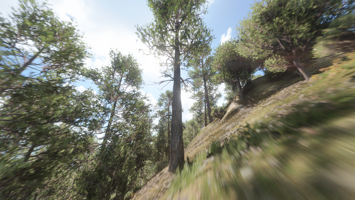 Скриншоты с Xbox SS игра - Forza Horizon 5