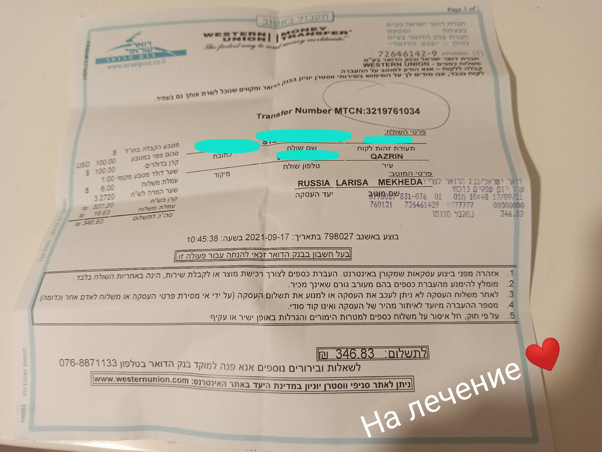 100$ благотворительность приюту Мопс_Поиск 