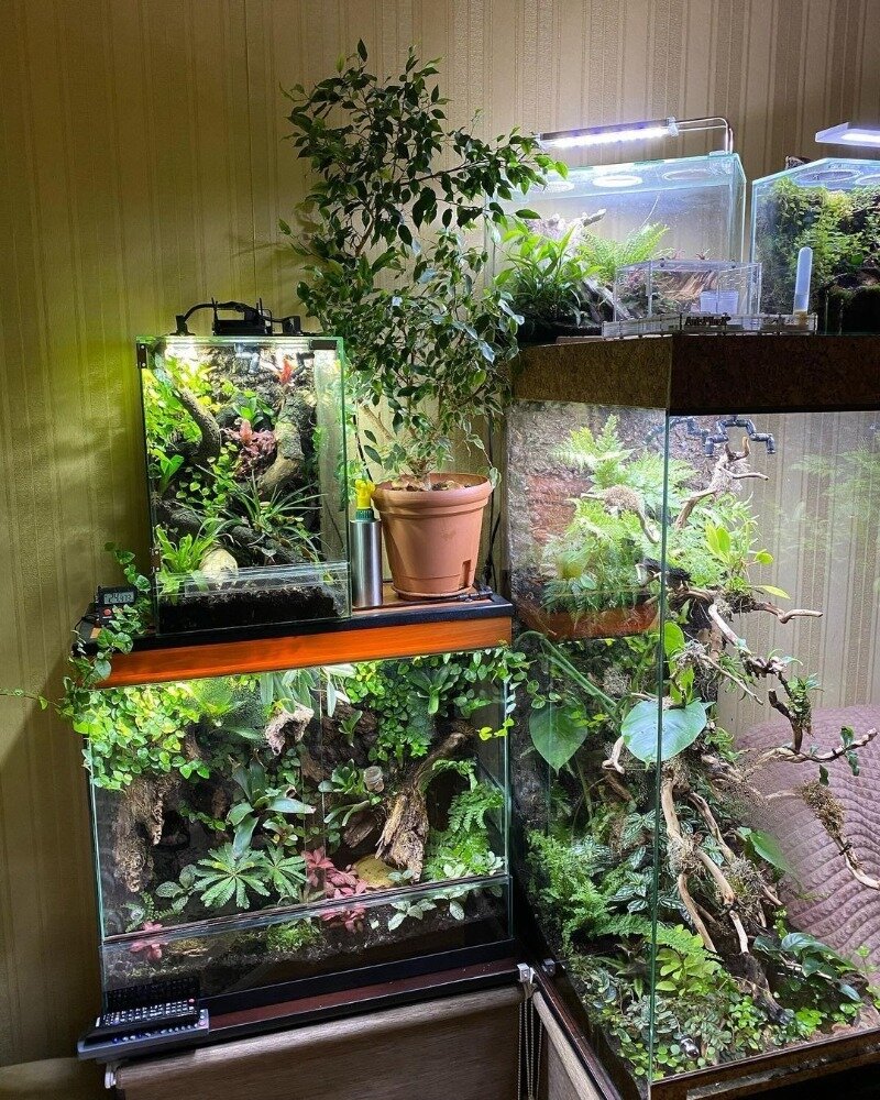 Источник фото https://www.instagram.com/p/CR-6nqZoFLg/