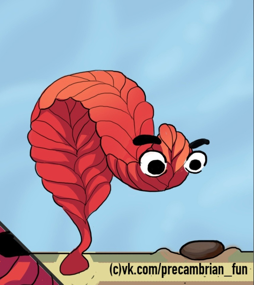 (c) vk.com/precambrian_fun