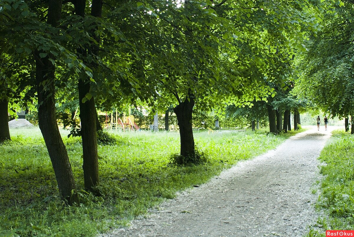 Фото из свободного доступа 