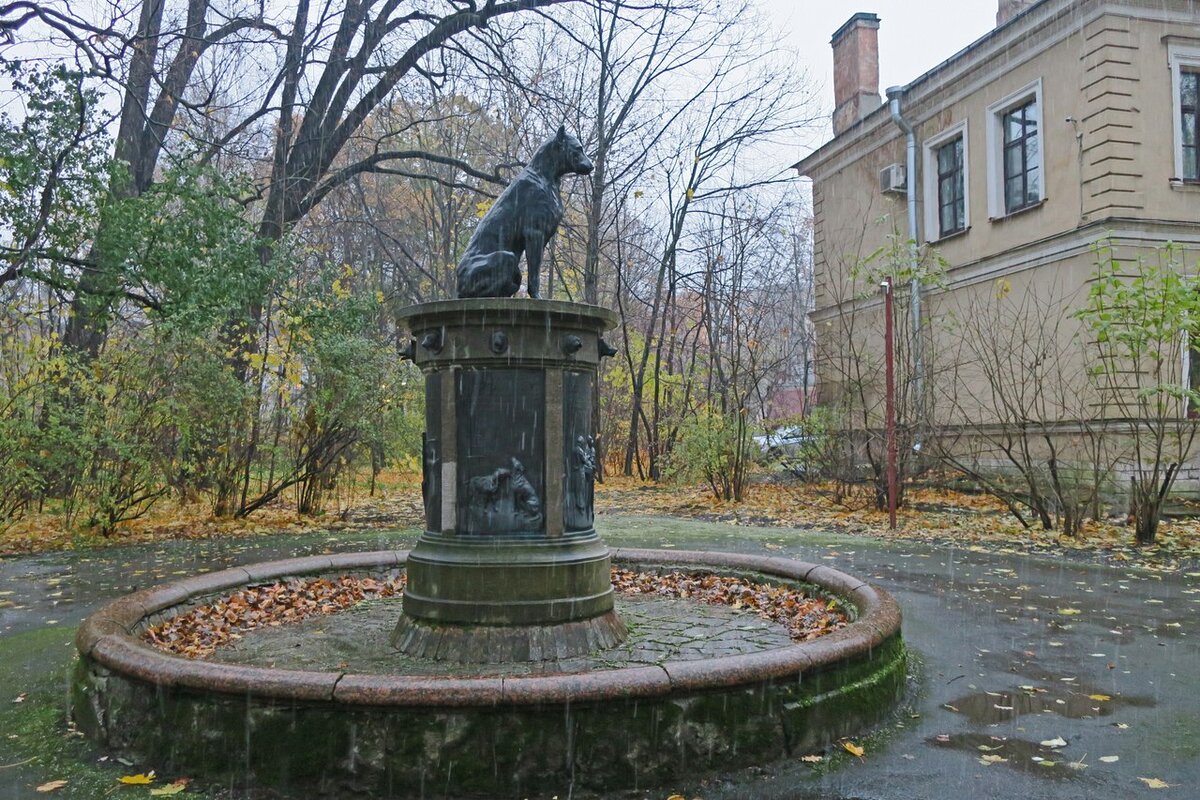 памятник собаке в санкт петербурге