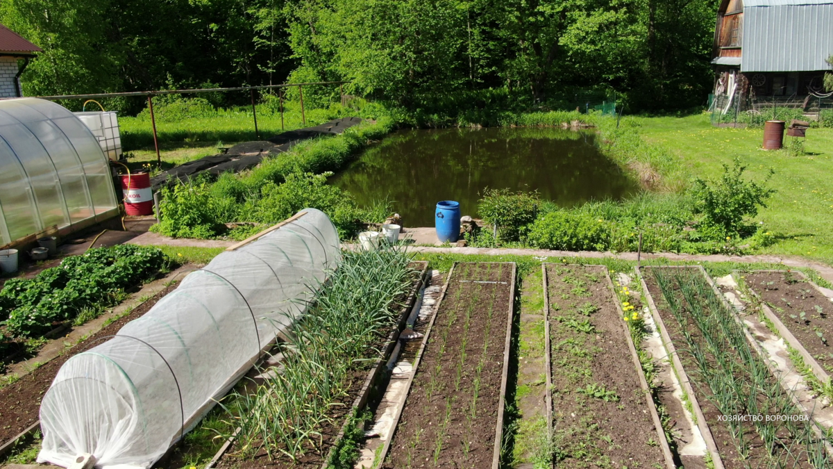 участок с прудом