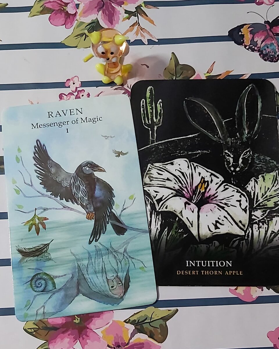 Колоды: "The Animal Wisdom Tarot" и "Flowers of the Night Oracle" by Cheralyn Darcey with Rockpool Publishing