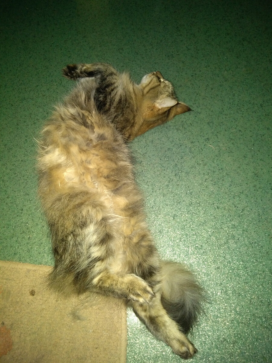 Любимая поза