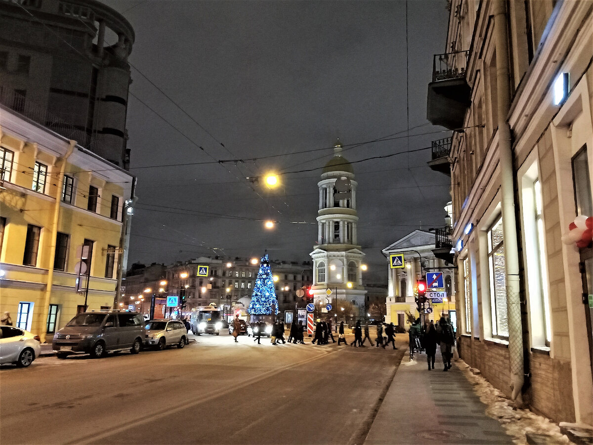 Загородный проспект с видом на Владимирский собор. Фото автора