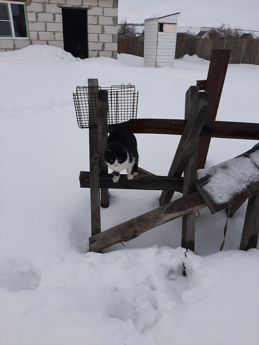 Сторонний наблюдатель