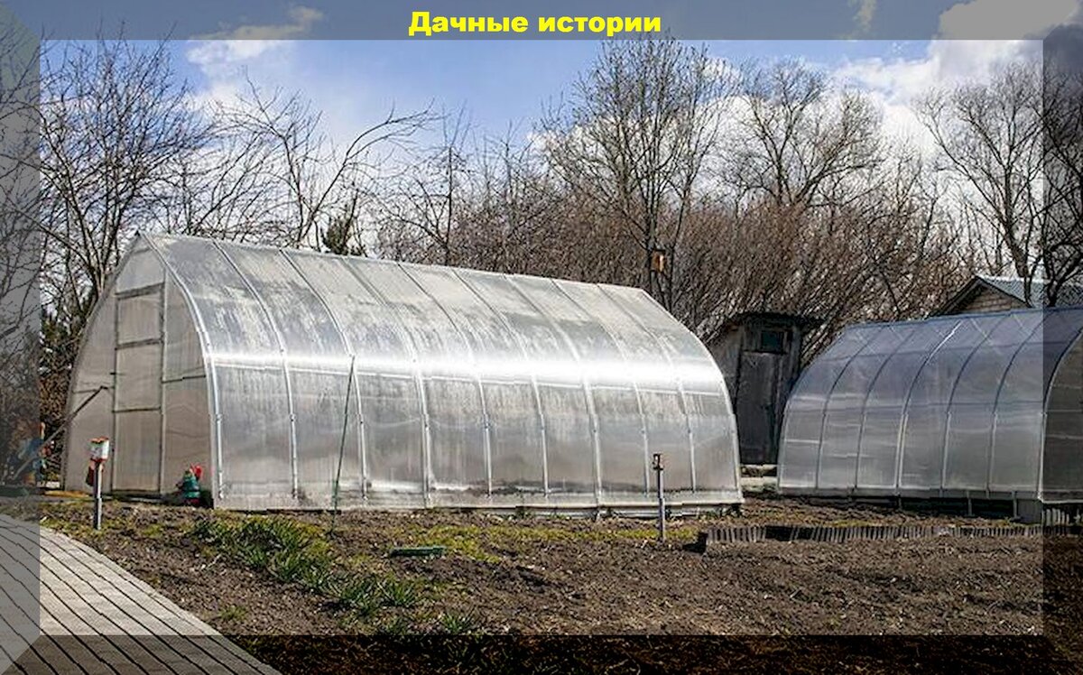 Теплица в земле. Теплица на участке. Теплицы из земли. Лучшая земля для теплицы. Зеленая земля в парнике