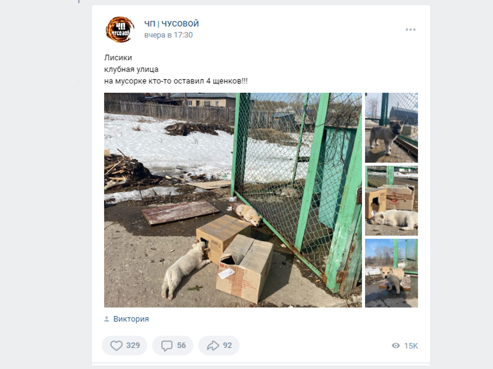 Пост  в  группе  "ЧП Чусовой" 