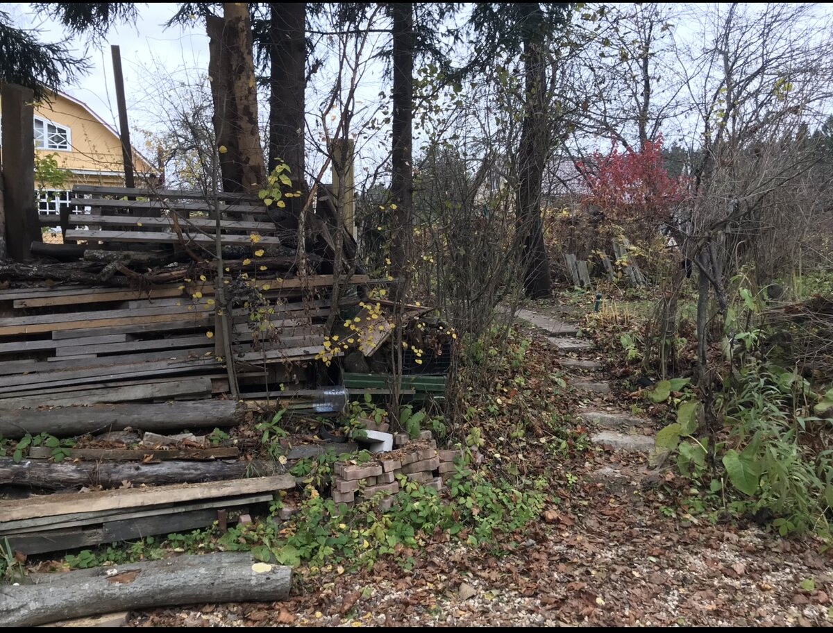 Выход из нашей задней калитки на берег «до». 