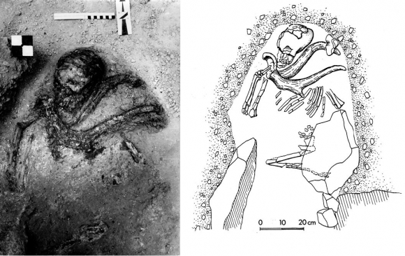 Погребение Кафзех 11 (рисунок и фотография выполнены в разном масштабе).