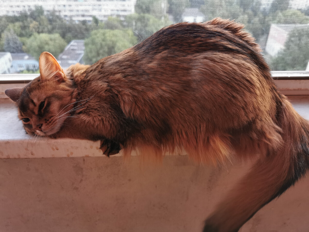 Фото из личного архива автора.