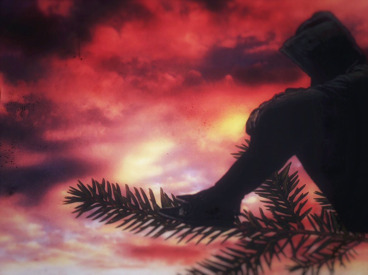 Man alone on pine tree by ElBuscador