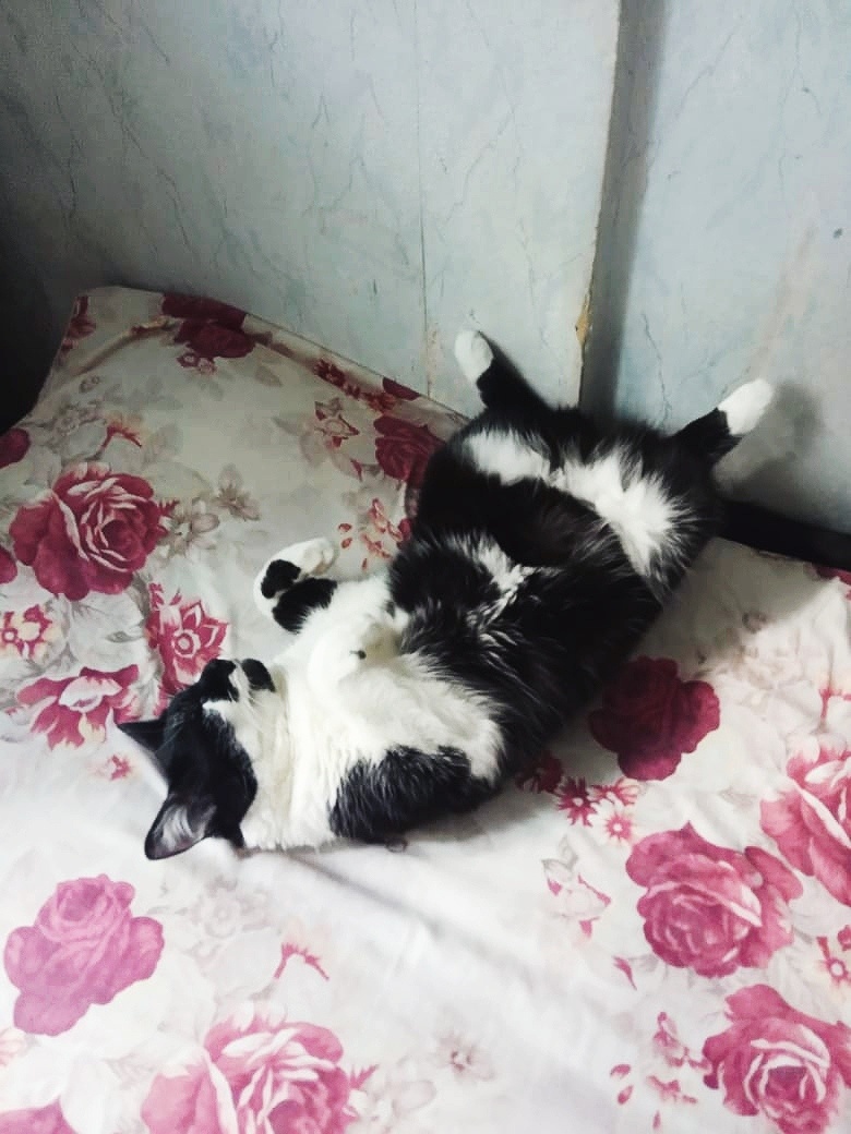 Фото автора. Глашка засветила нижнее бельё