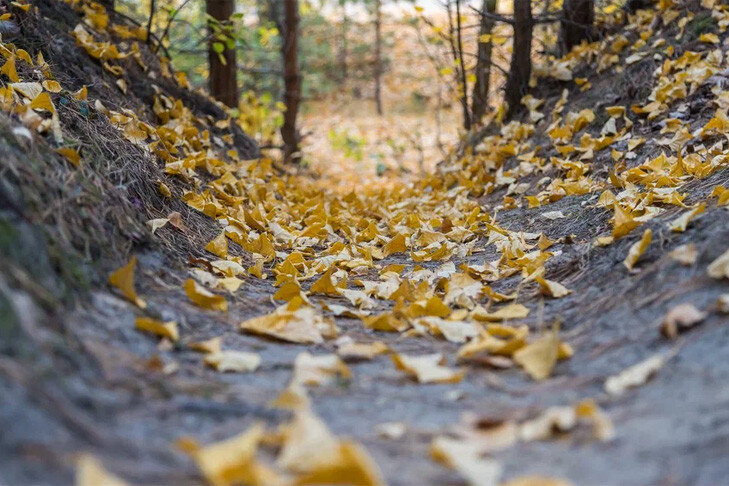 Фото Андрей Заржецкий