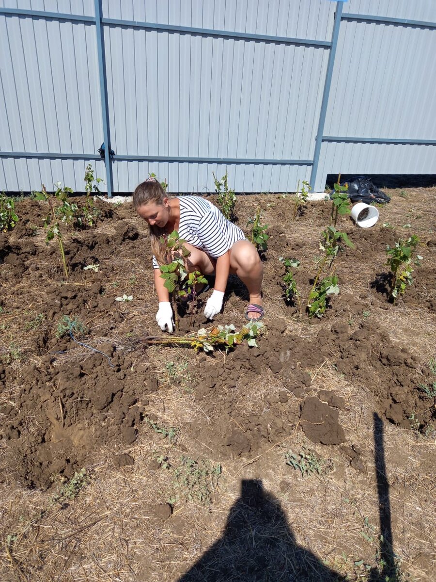 Земля просто убита 